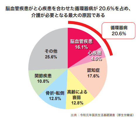 要介護の主たる原因（2019年）のイメージ画像
